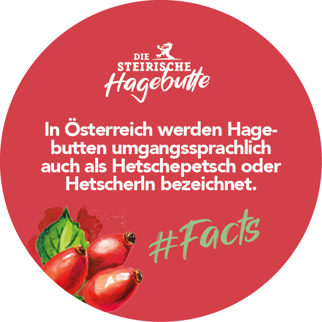 Hagebutten Fakten