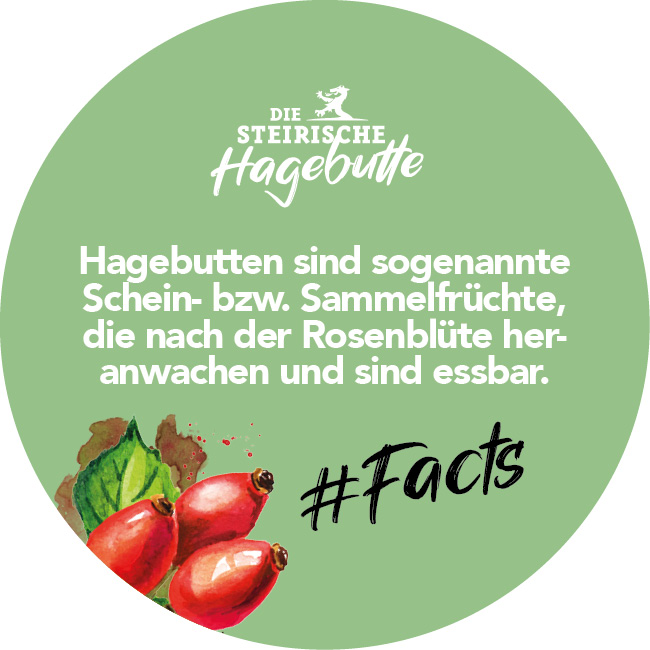 Hagebutten Fakten