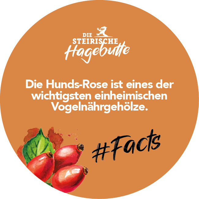 Hagebutten Fakten