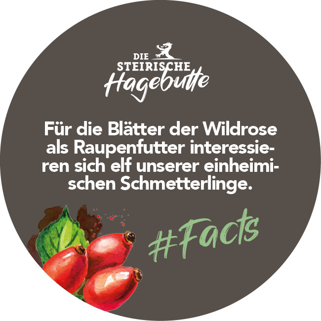 Hagebutten Fakten
