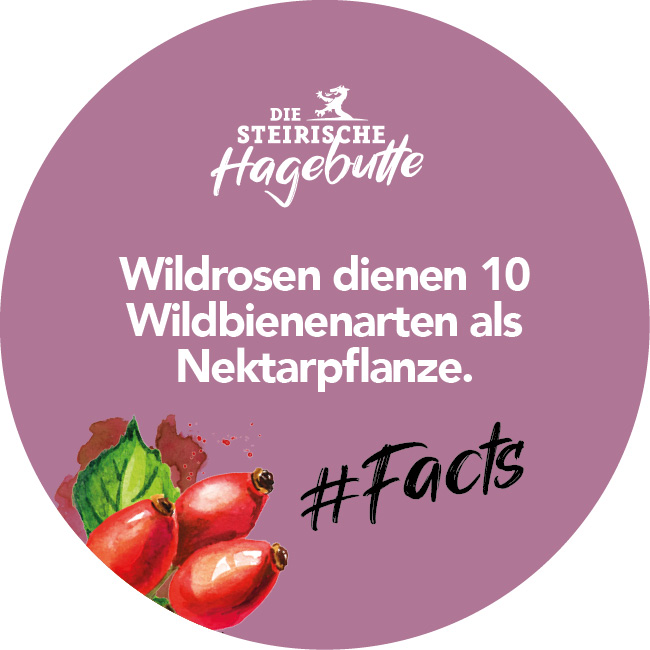 Hagebutten Fakten