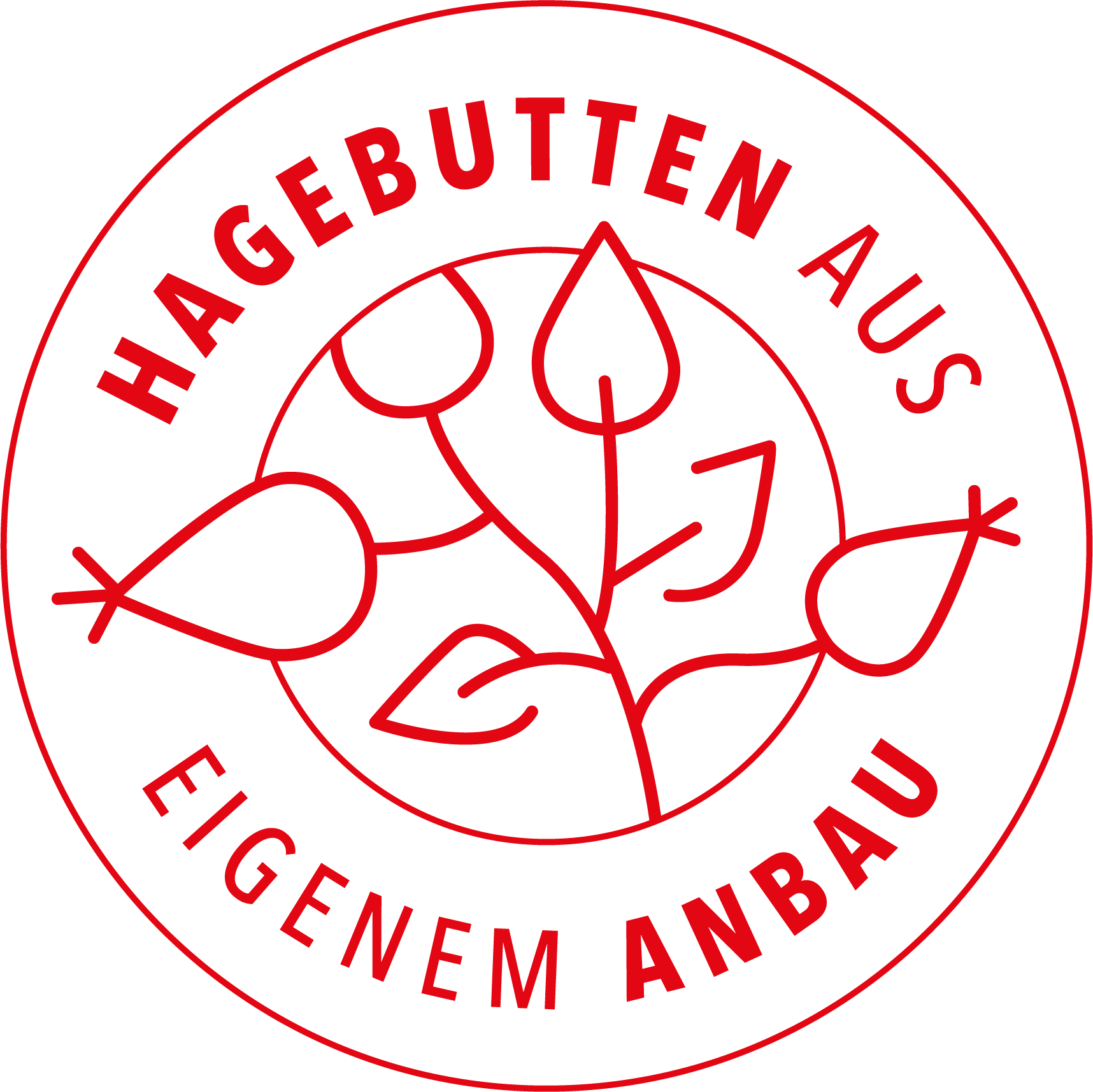 Hagebutten aus eigenem Anbau